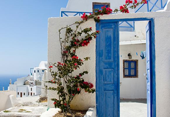 wide open blue door and bougainvillea