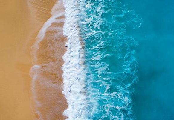 Beach and ocean